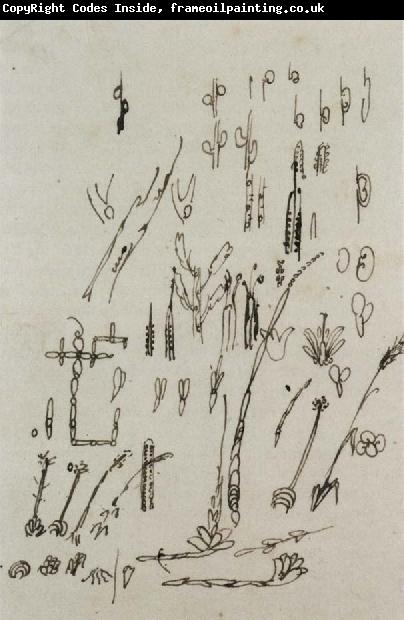 Johann Wolfgang von Goethe Budding,Flowering,and Branching System